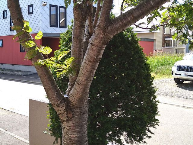 サービスの画像