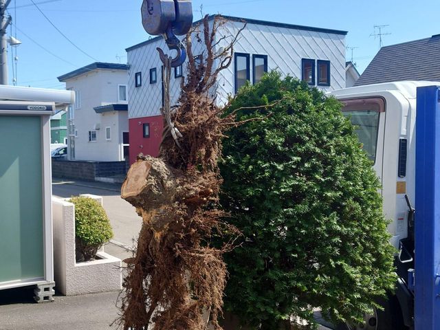 サービスの画像