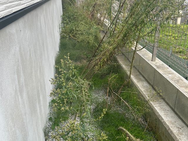 サービスの画像