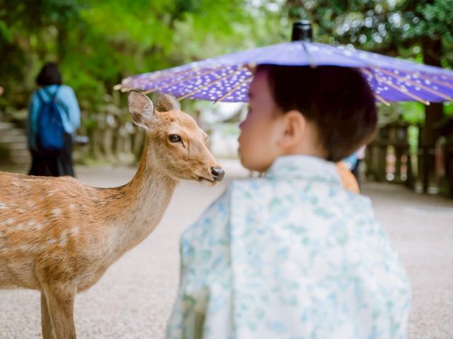サービスの画像