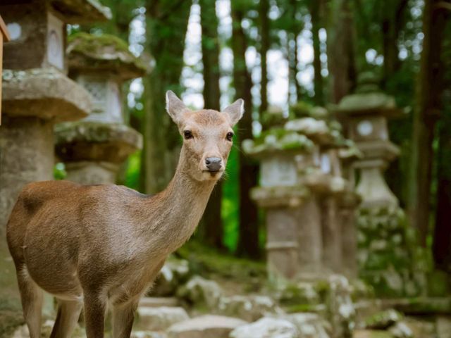 サービスの画像