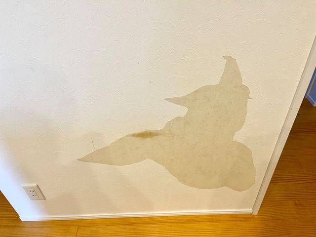 サービスの画像