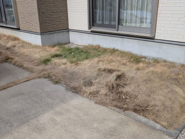 サービスの画像