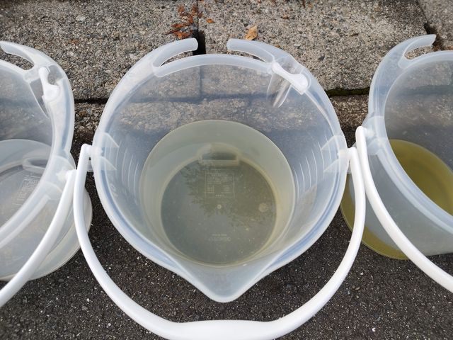 サービスの画像