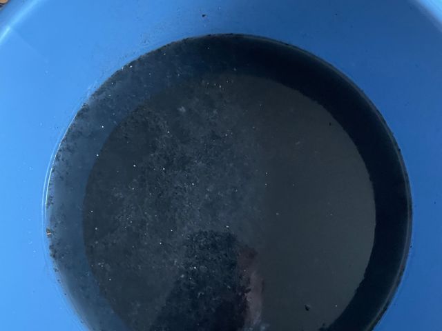 サービスの画像