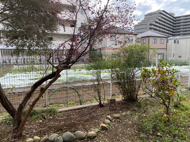 サービスの画像