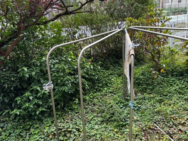 サービスの画像