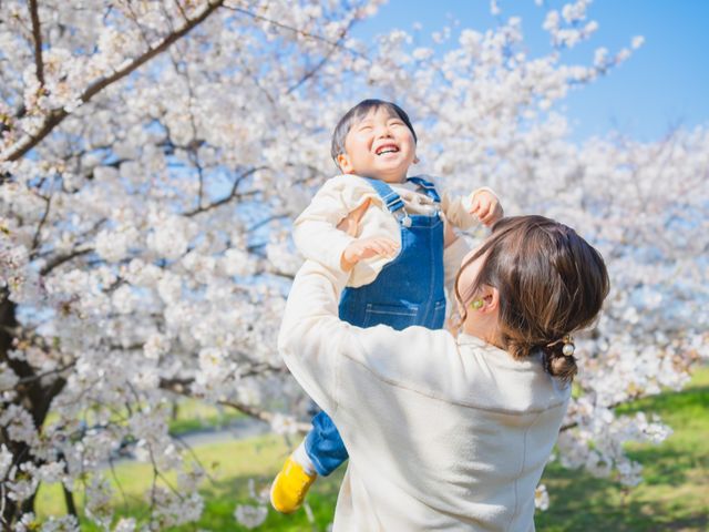 サービスの画像