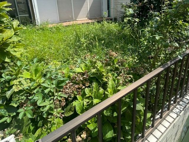 サービスの画像