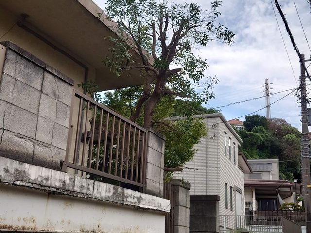 サービスの画像