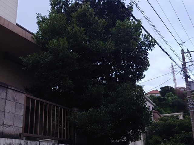 サービスの画像
