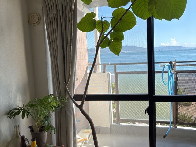 サービスの画像