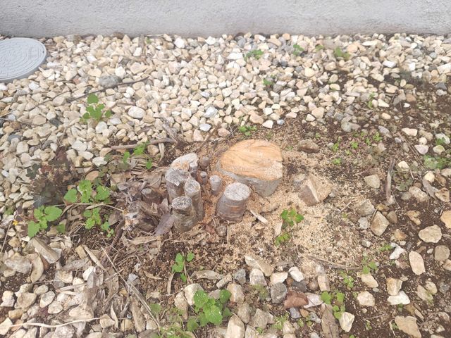 サービスの画像