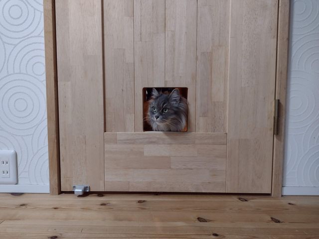 サービスの画像