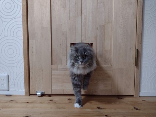 サービスの画像
