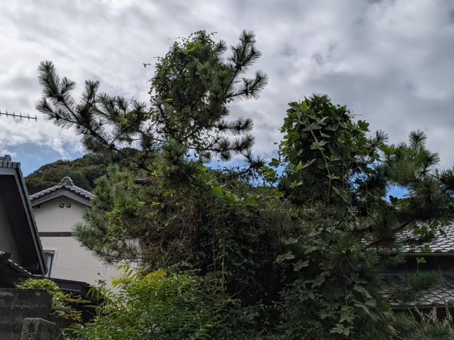 サービスの画像