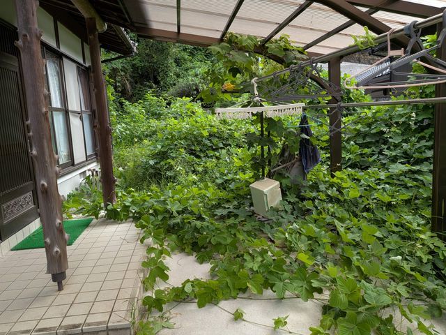 サービスの画像