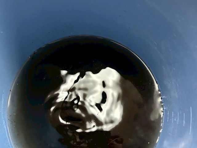 サービスの画像