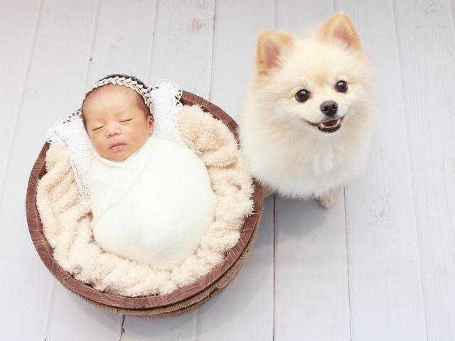 サービスの画像