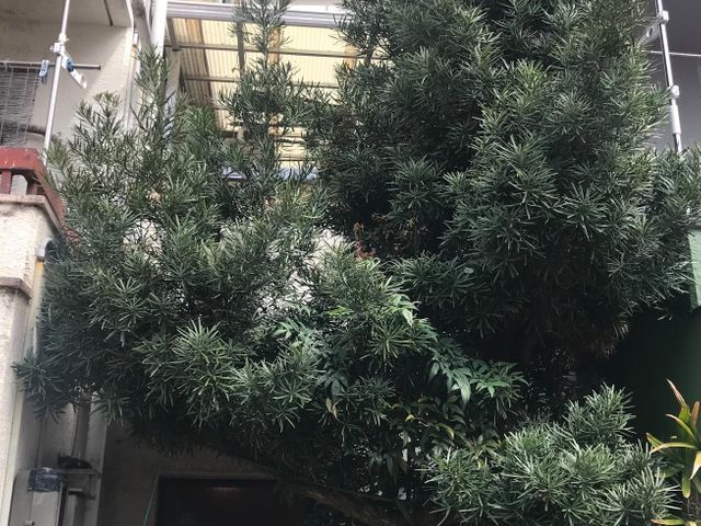 サービスの画像