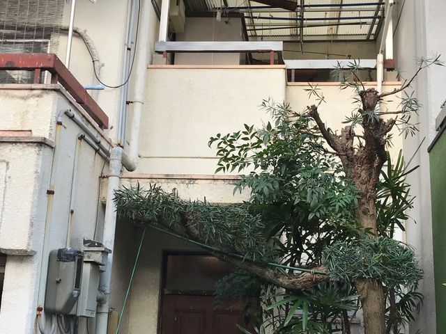 サービスの画像