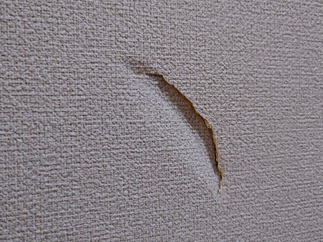 サービスの画像