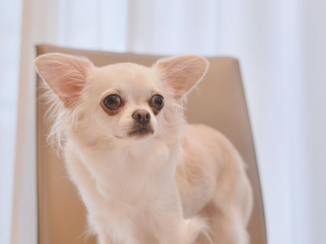 サービスの画像