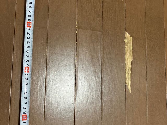 サービスの画像