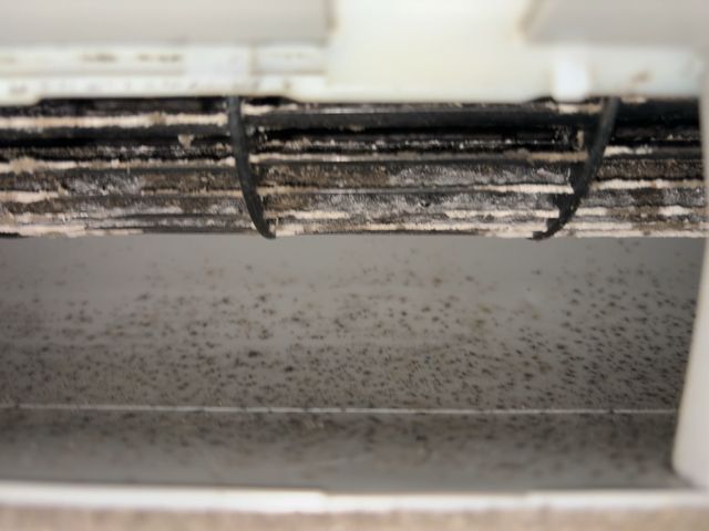 サービスの画像