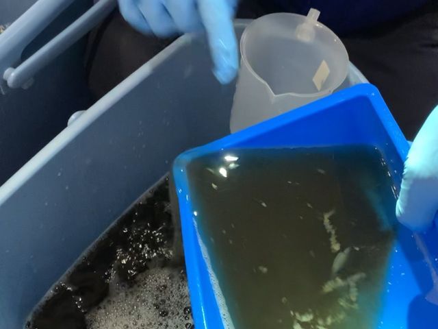 サービスの画像