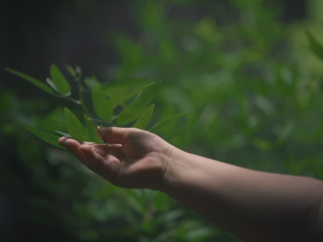 サービスの画像