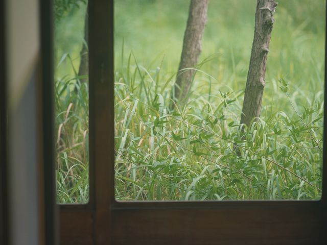 サービスの画像