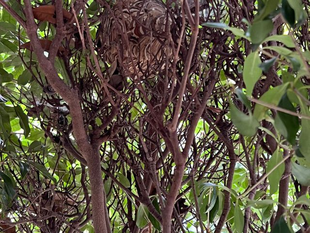 サービスの画像