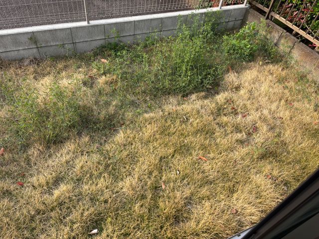 サービスの画像