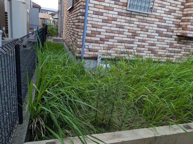 サービスの画像