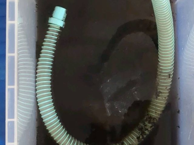 サービスの画像