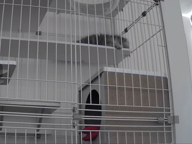 サービスの画像