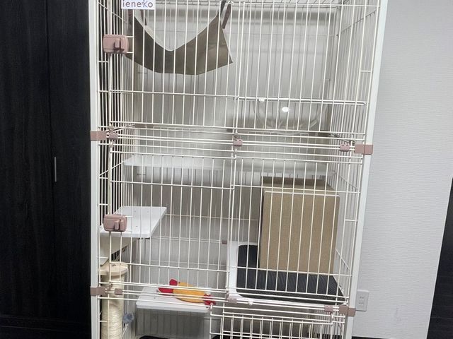 サービスの画像