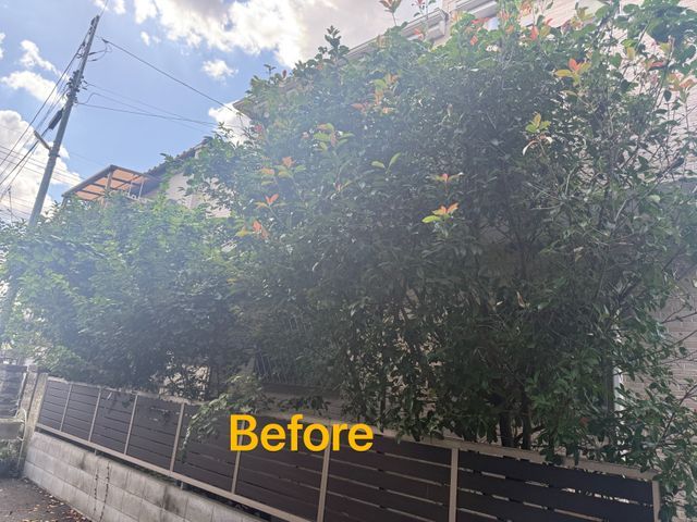 サービスの画像