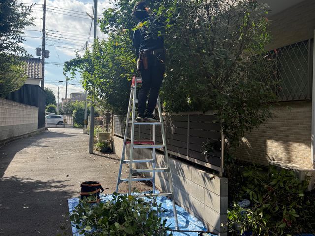 サービスの画像