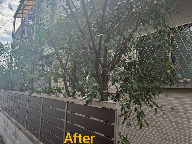 サービスの画像