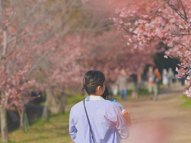 サービスの画像