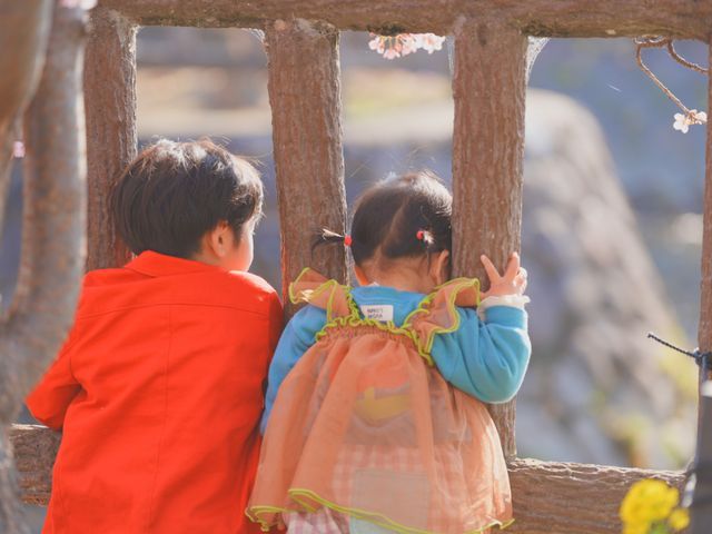 サービスの画像
