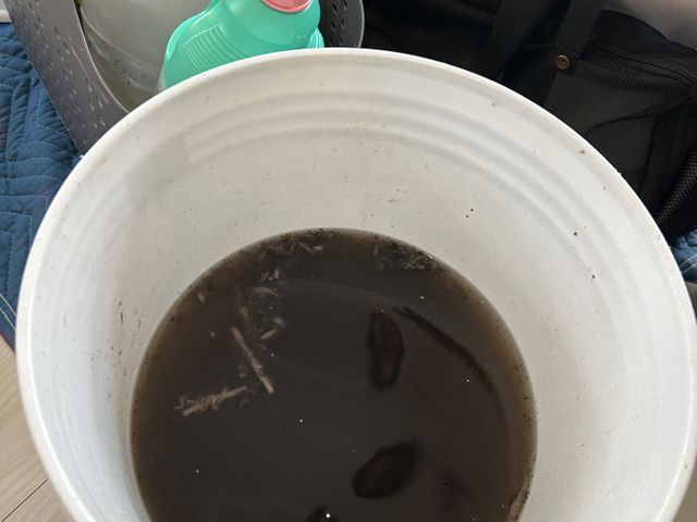 サービスの画像