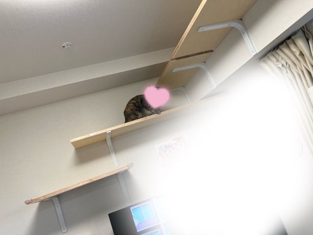 サービスの画像