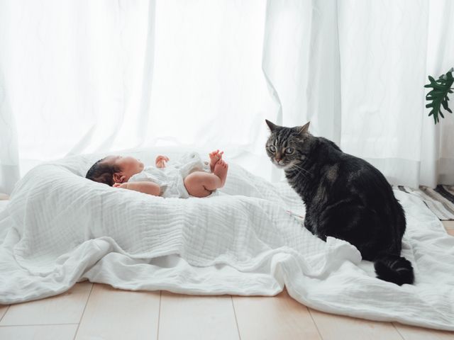 サービスの画像