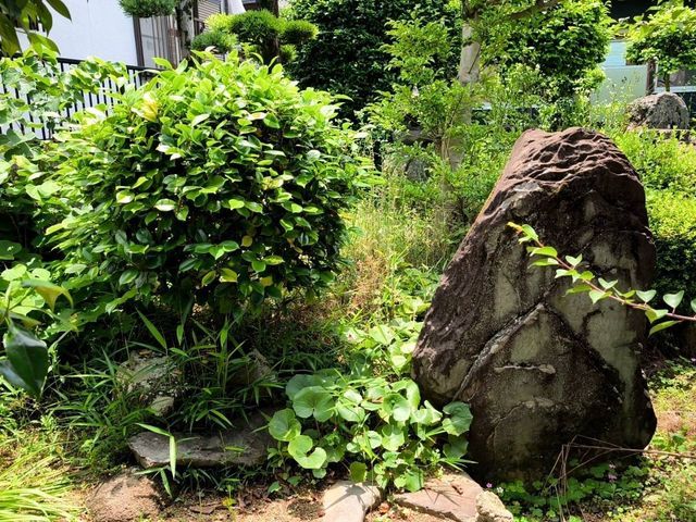 サービスの画像