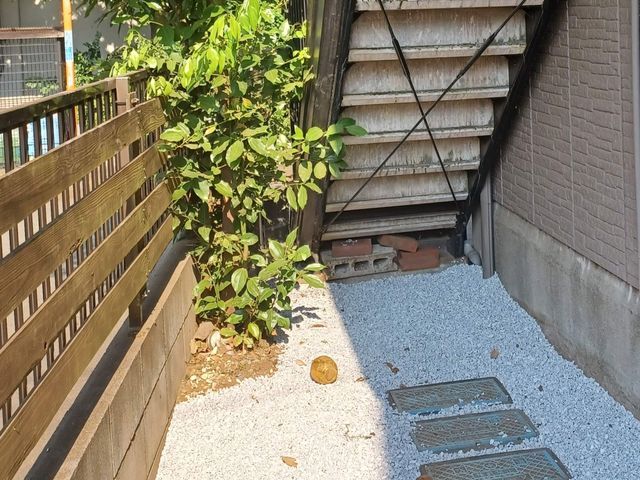 サービスの画像