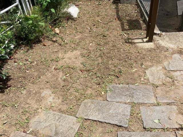 サービスの画像