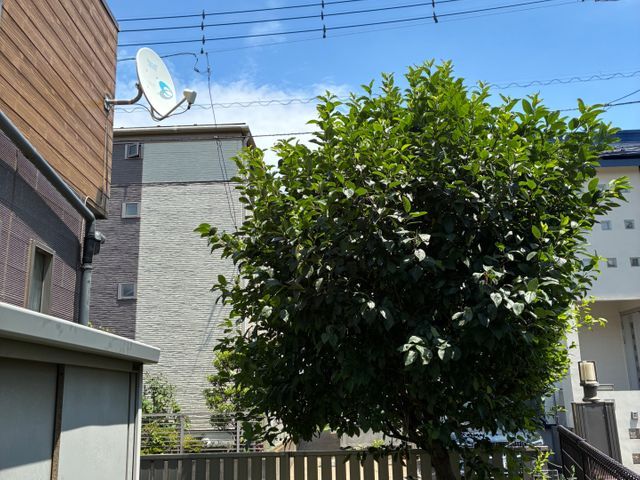 サービスの画像